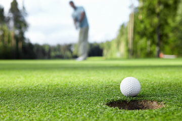 Bild för Wasa Golfklubb